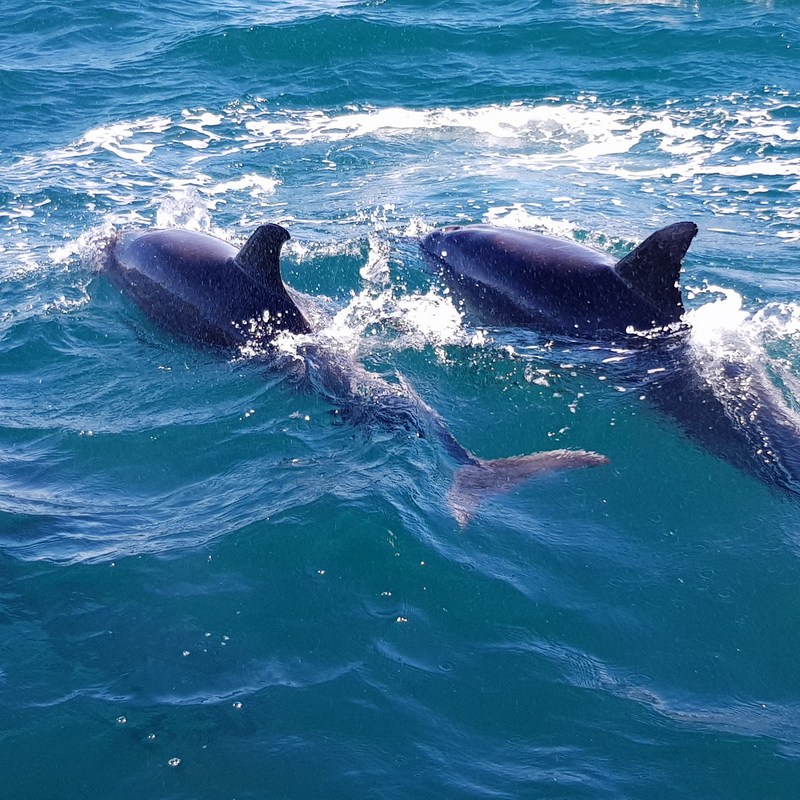 a man riding a wave on a surfboard in the ocean