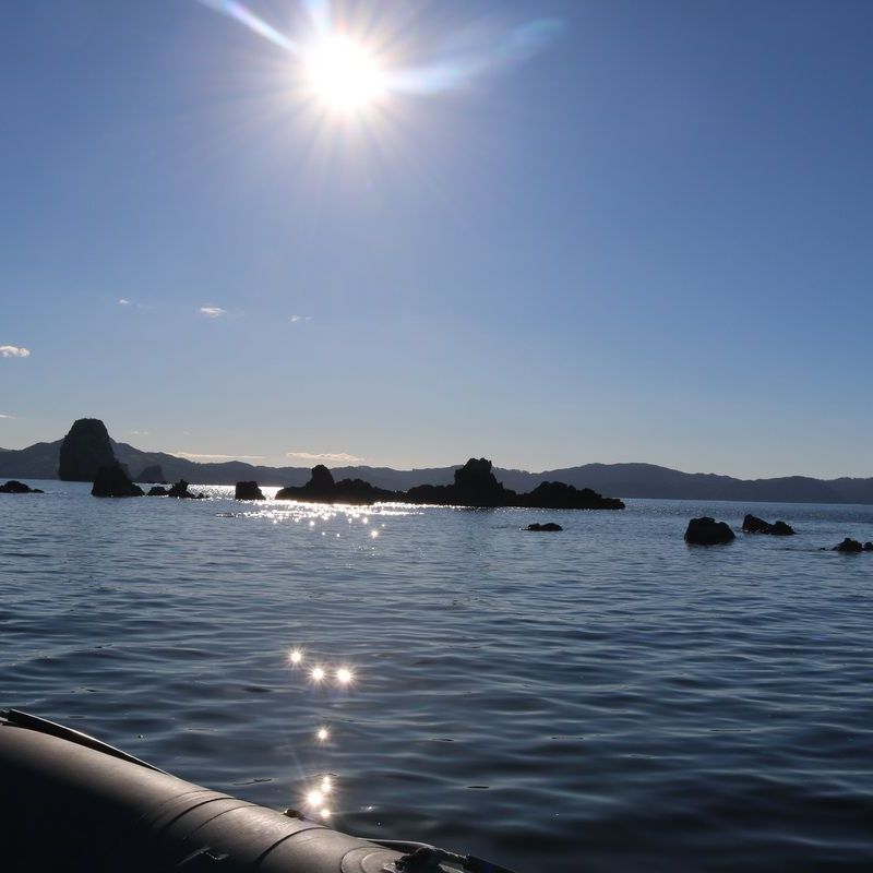 a boat on a body of water