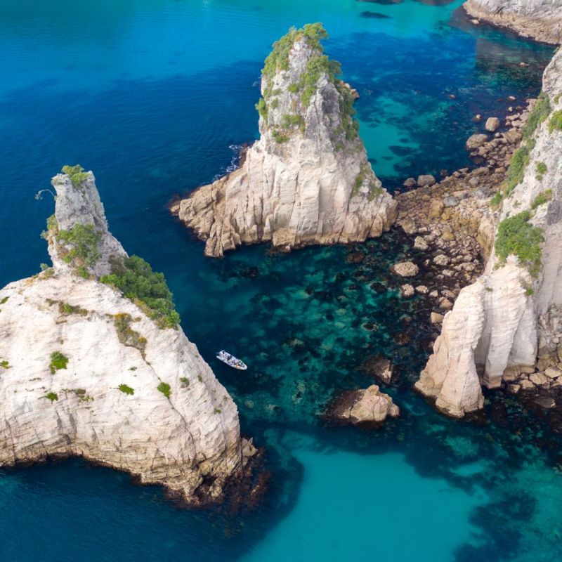 underwater view of a large rock in a pool of water