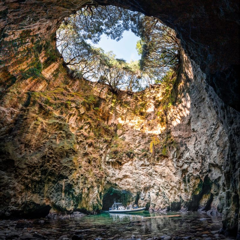 a close up of a rock