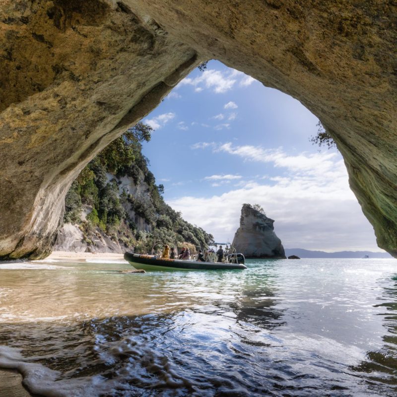 a close up of a rock next to a body of water