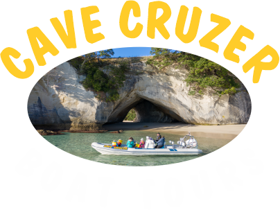 Cave Cruzer Boat Tours