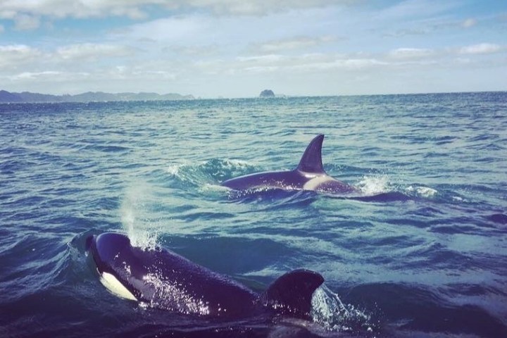 a man riding a wave on a surfboard in the water
